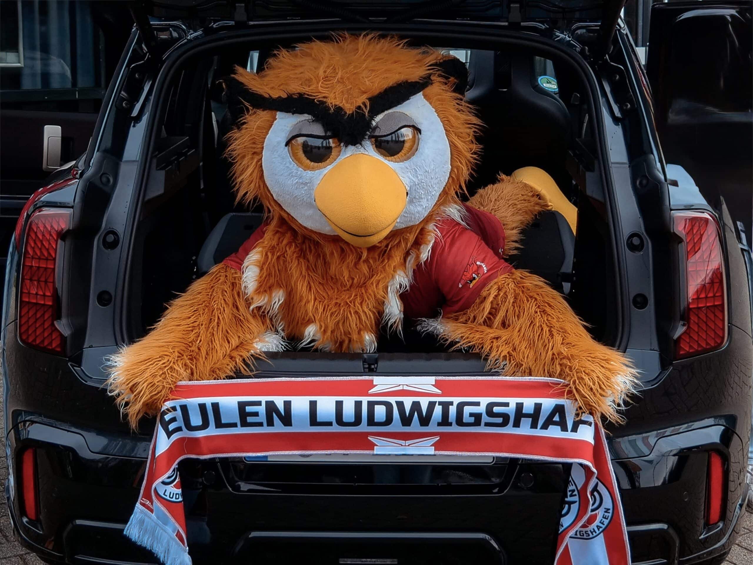 Maskottchen der EULEN Ludwigshafen im Kofferraum eines MINI mit Fanschal des Handballvereins